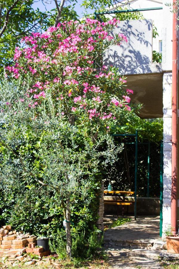 Bilini Garden Apartment Póla Kültér fotó