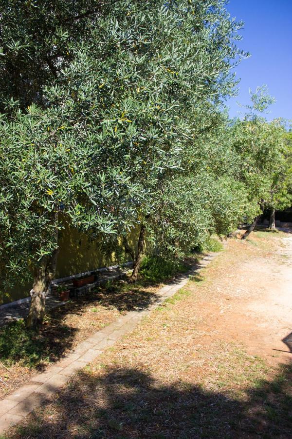 Bilini Garden Apartment Póla Kültér fotó